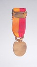 Rare vintage MAGNA CARTA DAMES medal and pin with ribbon, 1215-1909 — photo 6