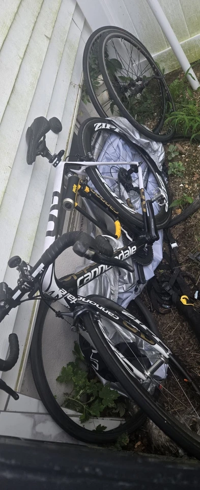 Cannondale SuperSix EVO Hi-MOD 54cm 2014 Carbon Fiber ROAD BIKE - Image 4 of 4