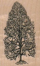 Tree 1 1/2 x 2 1/4" Mounted Rubber Stamp, Plant Stamp, Tree Stamp