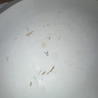 Antique Kalk Eisenberg Porcelain Platter 18" Large Serving Tray Floral Gold Gilt — photo 2