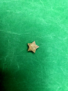 VERY RARE GAR MEMBERSHIP LAPEL STUD/STAR SHAPE