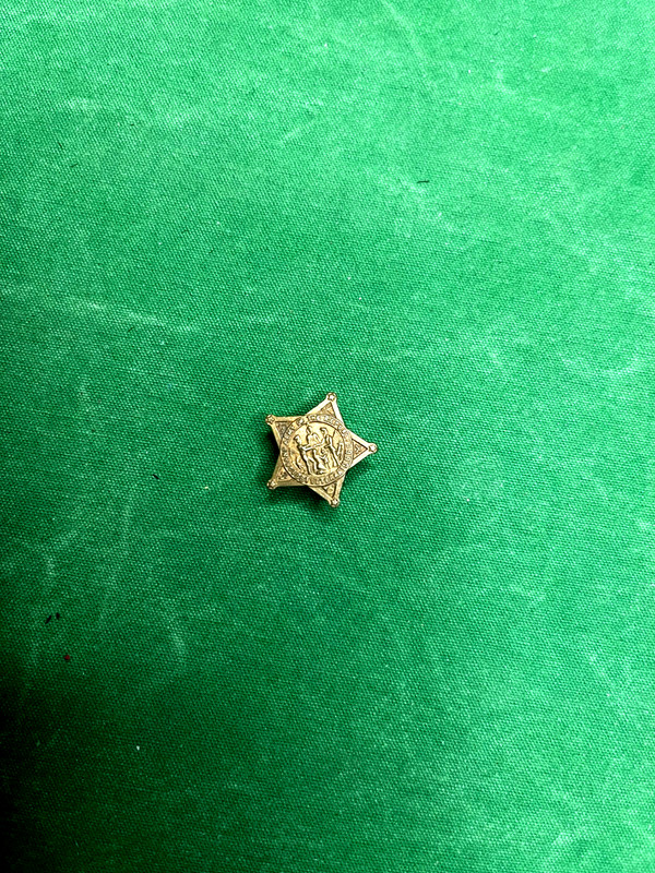 VERY RARE GAR MEMBERSHIP LAPEL STUD/STAR SHAPE