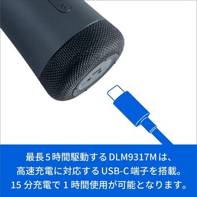 PHILIPS DLM9317C Bluetooth Wireless Karaoke Microphone with