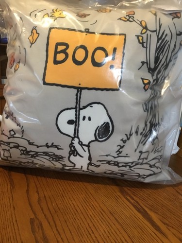 Pottery Barn Peanuts snoopy Boo HALLOWEEN pillow 20x20-NIP