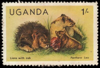 UGANDA 284 (SG308A) - African Lion 