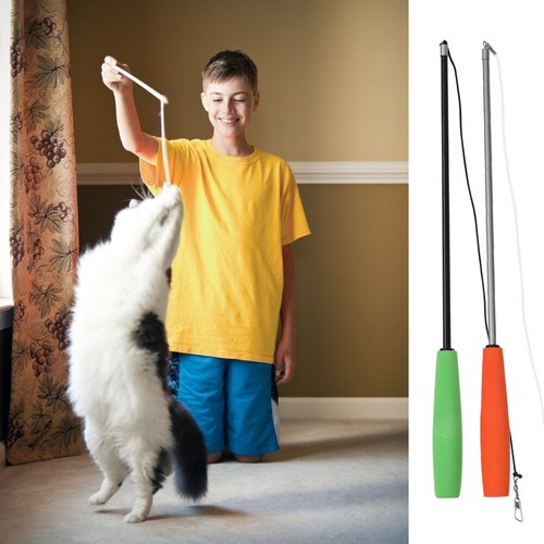 2PCS Telescopic Pickup Tool Interactive