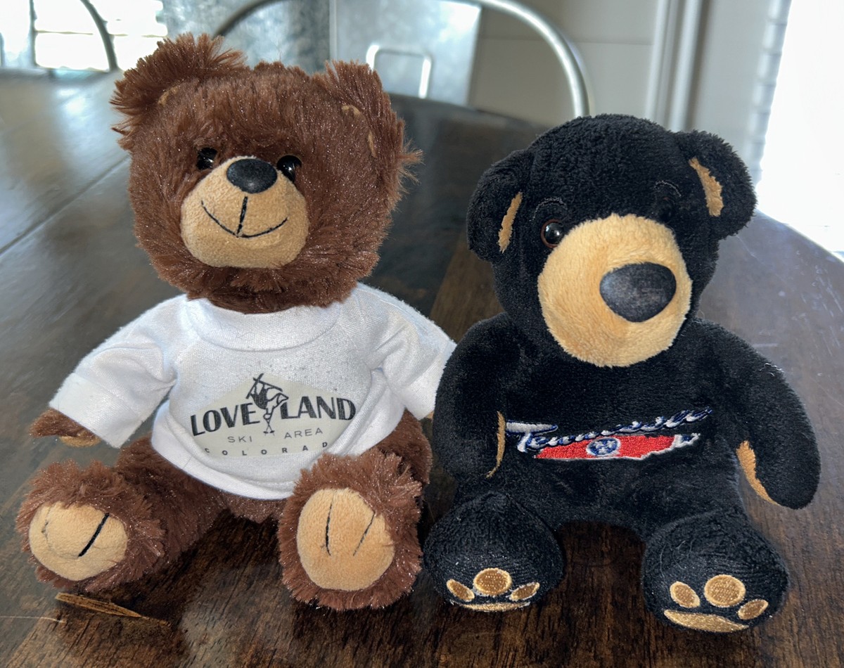 2 Souvenir Plush Teddy Bears Black Brown Tennessee Loveland Ski