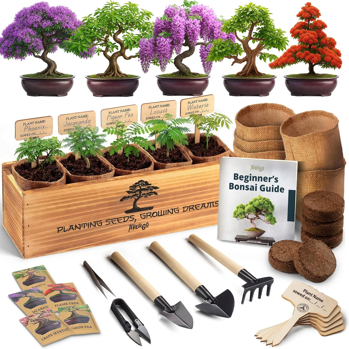 Beginner Bonsai Tree Kit - 5 Unique Japanese Trees with Tools