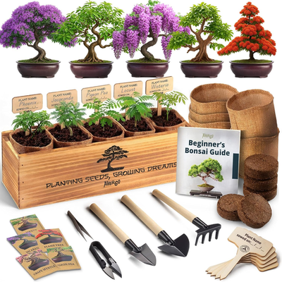 BONSAI出品 Beginner Bonsai Tree Kit - 5 Unique Japanese Trees with Tools
