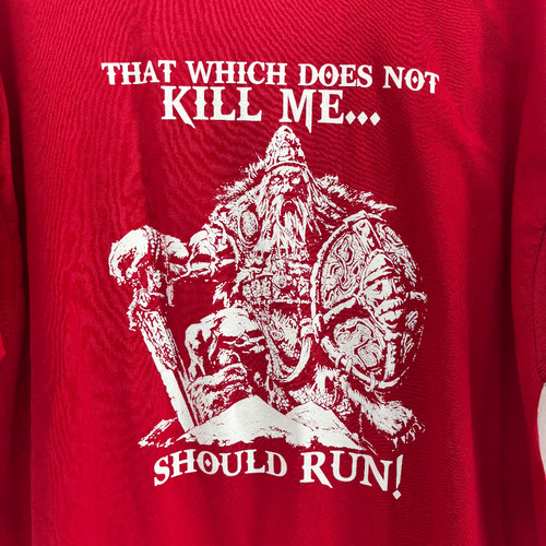 Viking Shirt That Which Does Not Kill Me Should Run Vikings, Odin, Valhalla 2XL