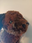 Bild 6 von 8