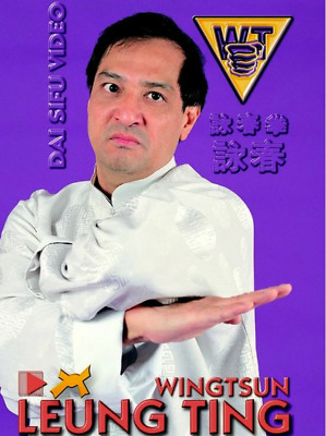 Wing Tsun Right or Wrong? DVD by Leung Ting