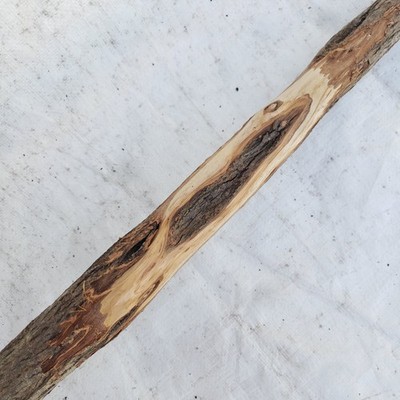 41'' Diamond Willow Carving Staff Wood Blank Walking Stick Short Nice