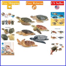 6PCS Realistic Sea Turtle Figurines, Child Safe Plastic Ocean Animals