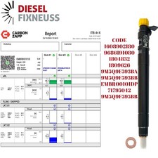 Injecteur Peugeot 3008 308 Cc Sw 407 5008 2.0 HDI EMBR00101D 1980L3 Delphi