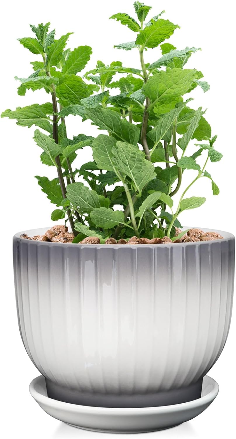 8 Inch Ceramic Planter, Plant Pot with Drainage Hole and Saucer, Large Outdoor F