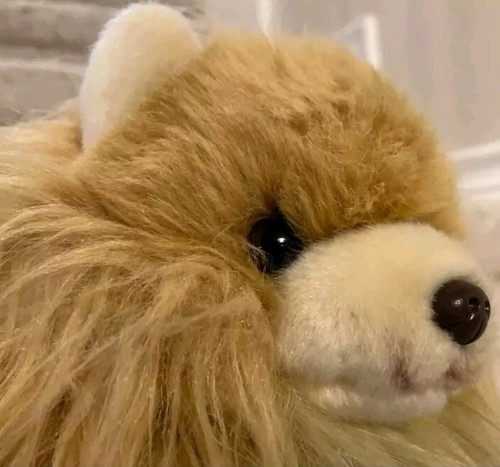 GUND Peluche Boo Cutest Cane Cucciolo Amico BUDDY Pomerania 4040347tw Imbottito 10IN - Foto 2 di 4