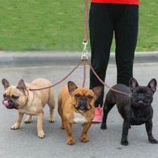 Soft Supple Leather Triple Dog Lead Splitter Leash Walking 3 Dogs 3 Way Lead