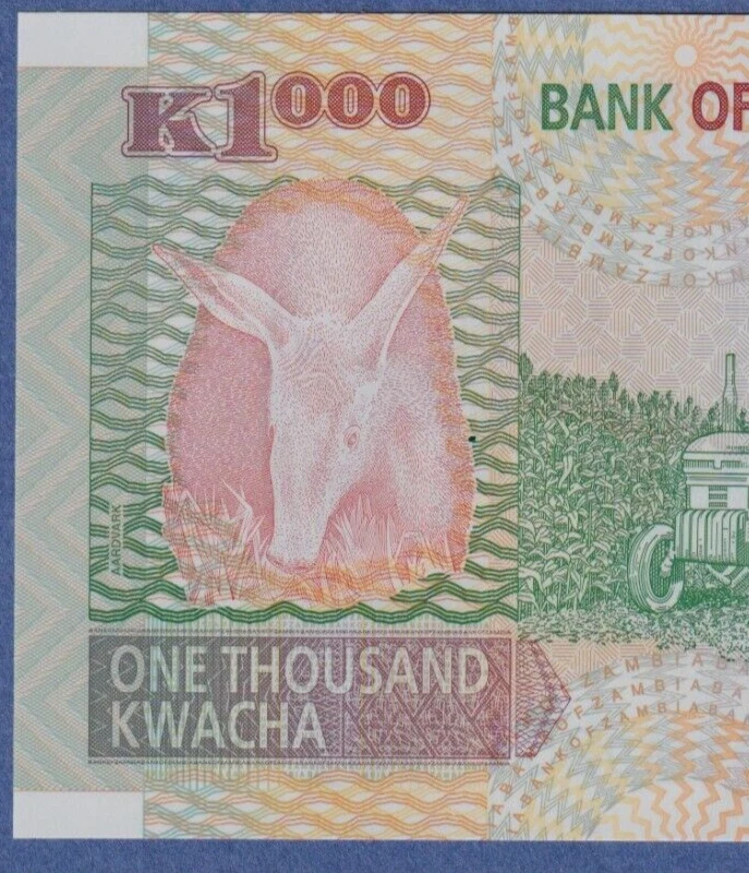 Zambia 1000 Kwacha 2011 P -44h  UNC Polymer Note - Eagle - Image 3 of 4