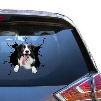 Border Collie Vehicle Sticker Border Collie Car Decal Cool Clean Truck Decal