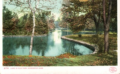 Lake In Elm Park, Worcester, Mass. Detroit Photographic Postcard Undivided