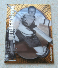 Turk Broda 2001-02 Between the Pipes #147 hockey cards lot TORONTO MAPLE LEAFS $