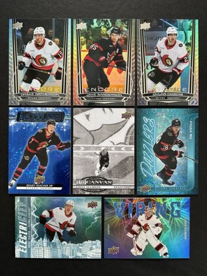 Ottawa Senators Fan Lot 67 Cards 2005-Present  A Great Gift Idea For Any Fan 