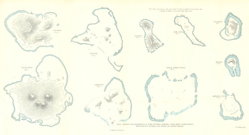 Darwin—Coral fringing reefs & atolls—Chuuk–Hao–Bora Bora–Gambier–Cocos 1895 map