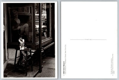 1988 Victor Macarol ''Cat & Marylin'' Thompson Street NYC Postcard Photo Art