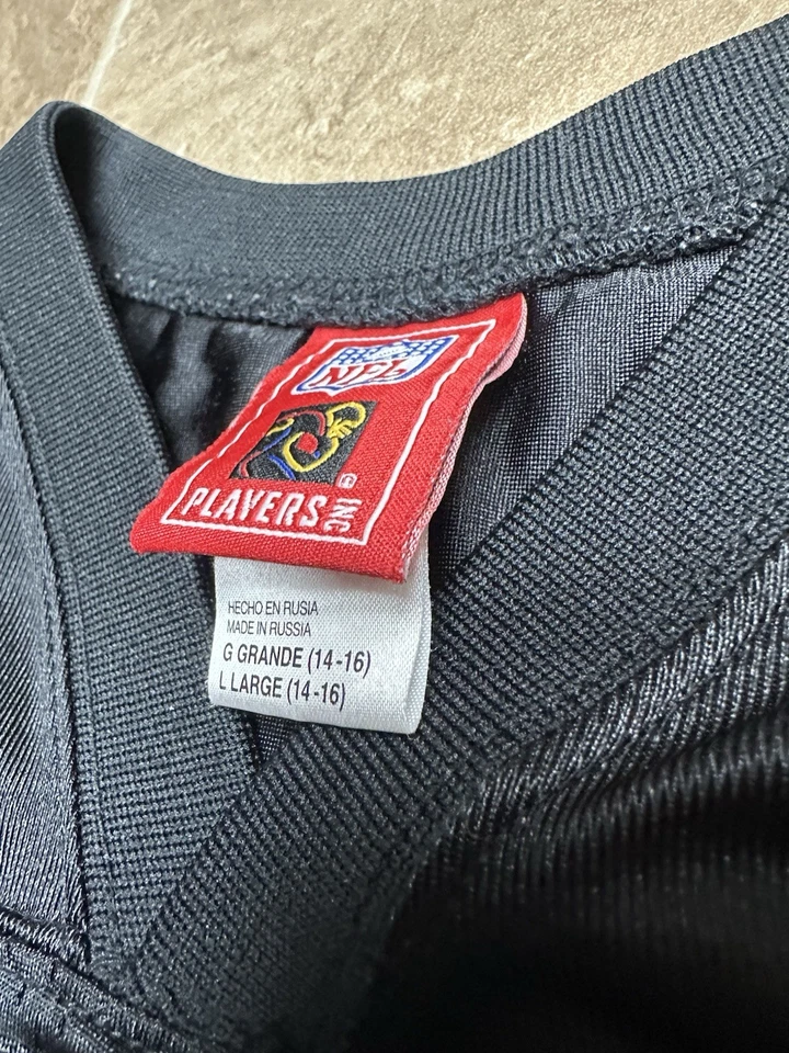 Equipo NFL Reebok Warren Sapp Oakland Raiders Jersey Juvenil Pequeño Niño Grande Foto 3 de 4