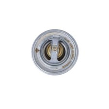 Thermostat Mitsubishi GRANDIS