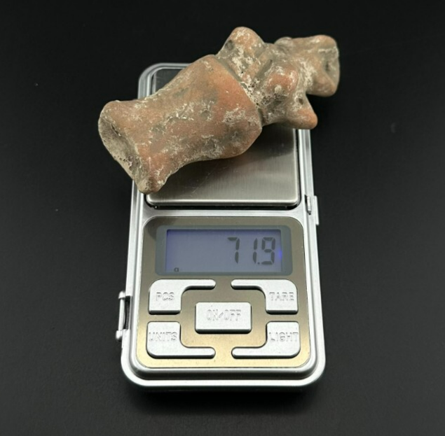Foto 11 di 11