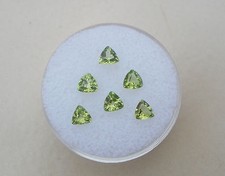 6 Peridot Trillion Loose Gems 4mm each