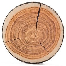 Decorative Round Throw Pillow, 3D Digital Print 14 x 2.75 Inch Stump