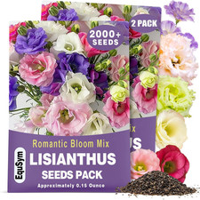 2000 Lisianthus Seeds for Planting - 2 Pack Mixed Color Perennial Eustoma Grand
