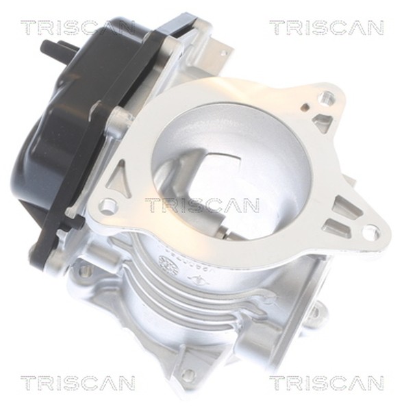 Triscan Agr Ventil 8813 29348 FüR Vw Crafter 30 50 Amarok 2HA 2HB S1B S6B S7A 35-image