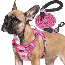 Beebiepet Heavy Duty Tactical Dog Harness for Small Dogs, No Pull Adjustable Pet