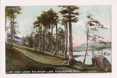 O-590 Big Moose Lake View Lodge Hugh C. Leighton Adirondack Mtn Postcard