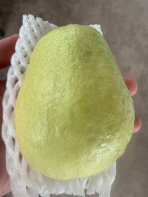 Chinese Guava (3 LBS) The Actual Fruit | eBay