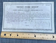 New York Trust Fund First National Bank Cooperstown 1881 Stock Certificate