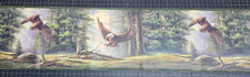 American Bald Eagle Wallpaper Border FP00351B Forest Cabin Wall Decor Lodge