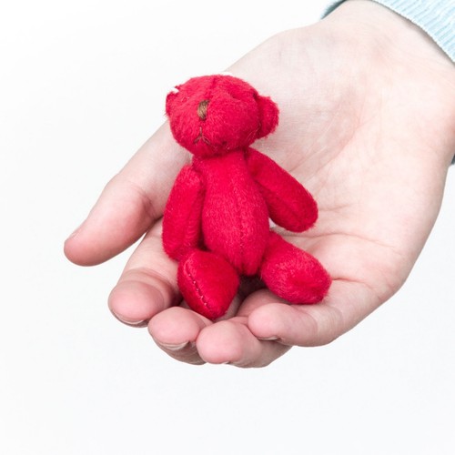 red small teddy