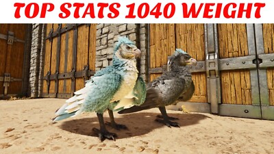 ARK Survival Ascended PvE PC/XBOX/PS5 Top Stats Argentavis 1040w   (argy) ASA