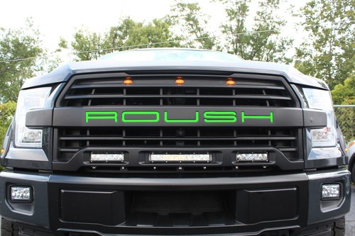 2015-2019 & 2020 Roush Ford F-150 Grill Letters UV COAT Colors 15 16 17 2018 - Picture 4 of 5