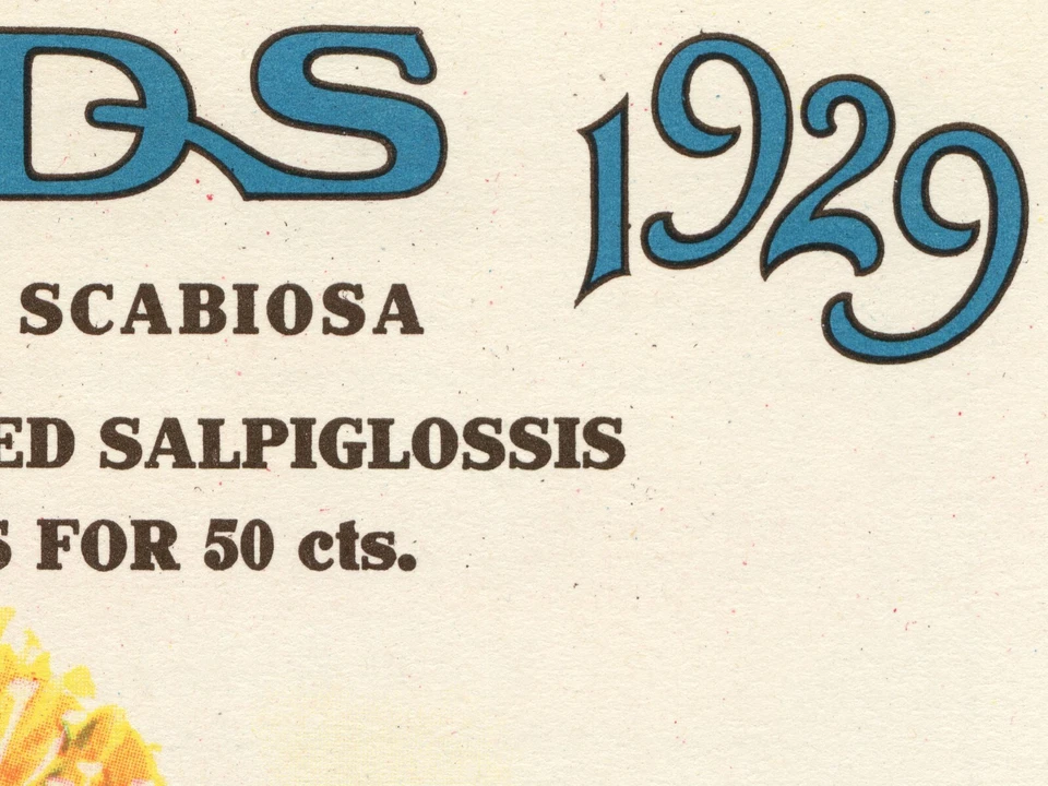 ¡Póster de contraportada del catálogo de semillas 1929! (hasta 24" x 36") - Flores - Decoración Foto 4 de 4