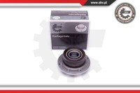 Esen SKV 29SKV419 Wheel Bearing Kit For Fiat