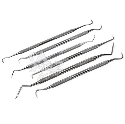 Dental Examination Sickle Scaler Pick Probes - Variety Set - Stainless Steel 6Pc