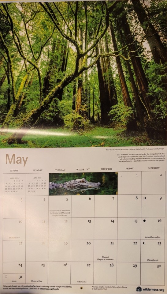 USA Wilderness calendar 2026 Fox Goats Hummingbird Nature 10.5 Inch x 8