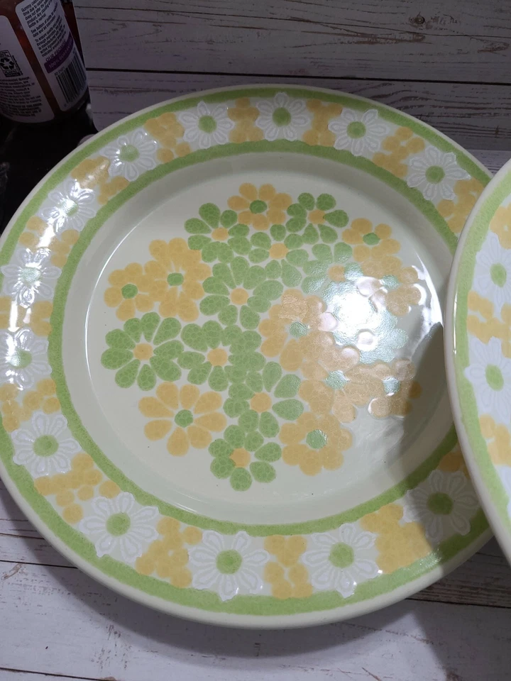 Juego de 2 platos de cena franciscanos "picnic" 10 3/4 pulgadas Foto 3 de 4