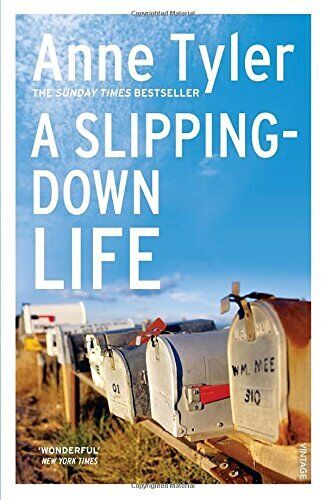 A Slipping Down Life, Tyler, Anne, Used; Acceptable Book - Photo 1/1